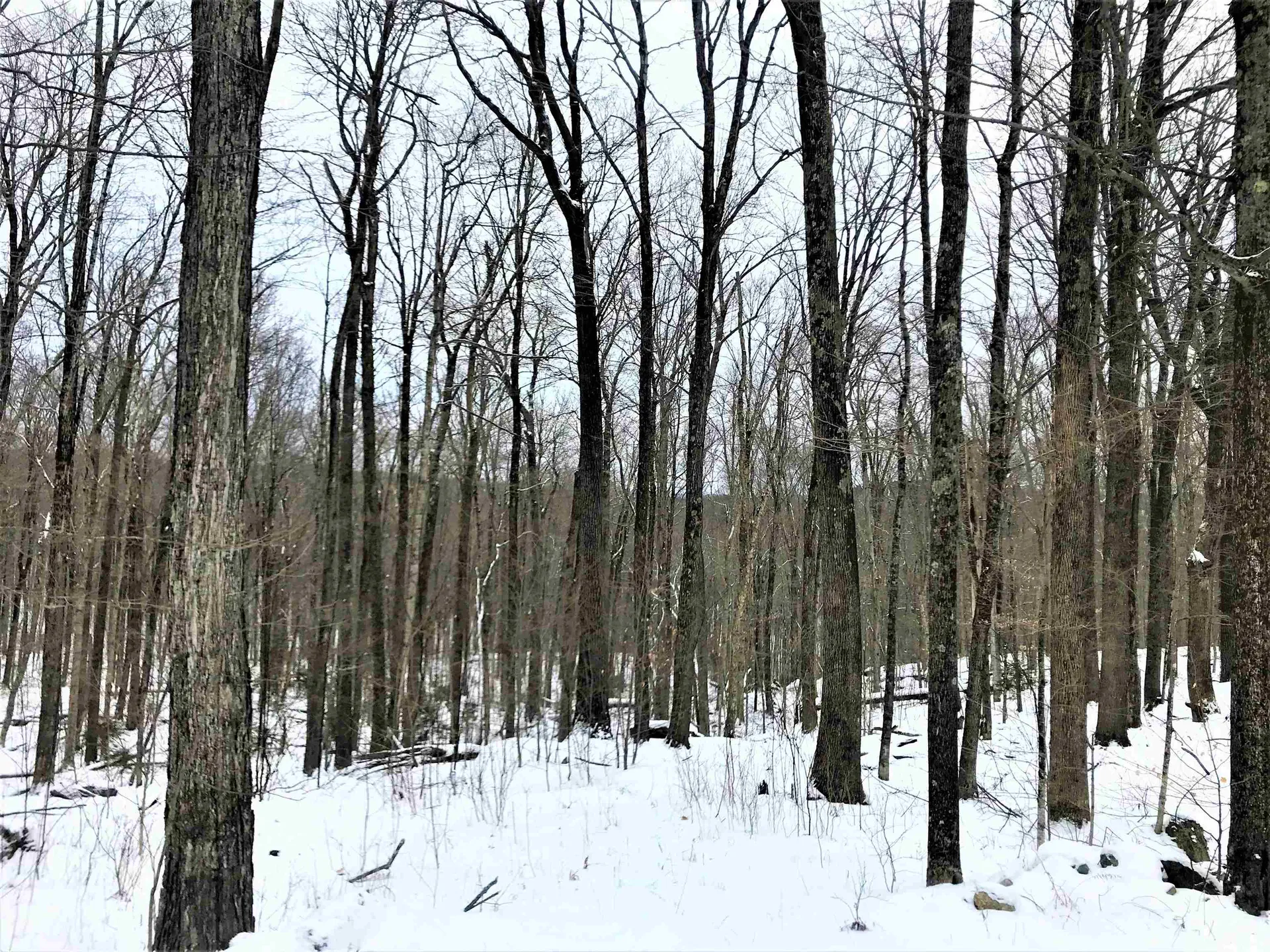55 Three Streams Way Wilmington VT 05363