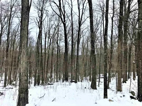 55 Three Streams Way Wilmington VT 05363