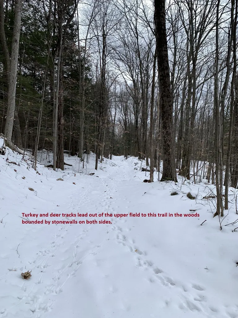200/5 Bible Hill Road Claremont NH 03743