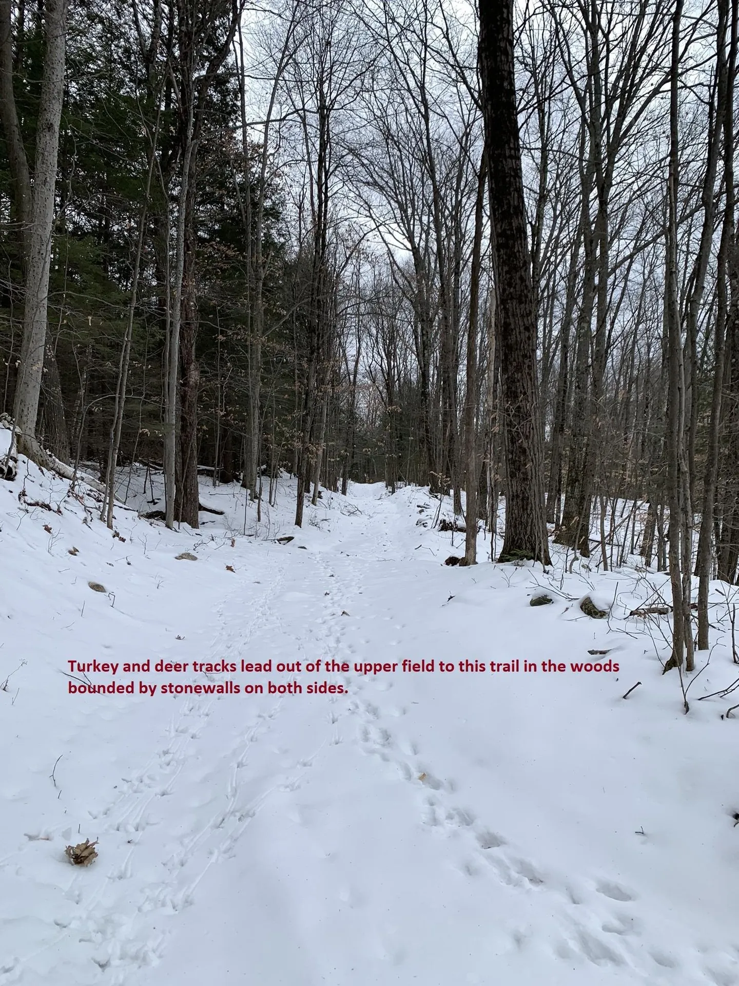200/5 Bible Hill Road Claremont NH 03743