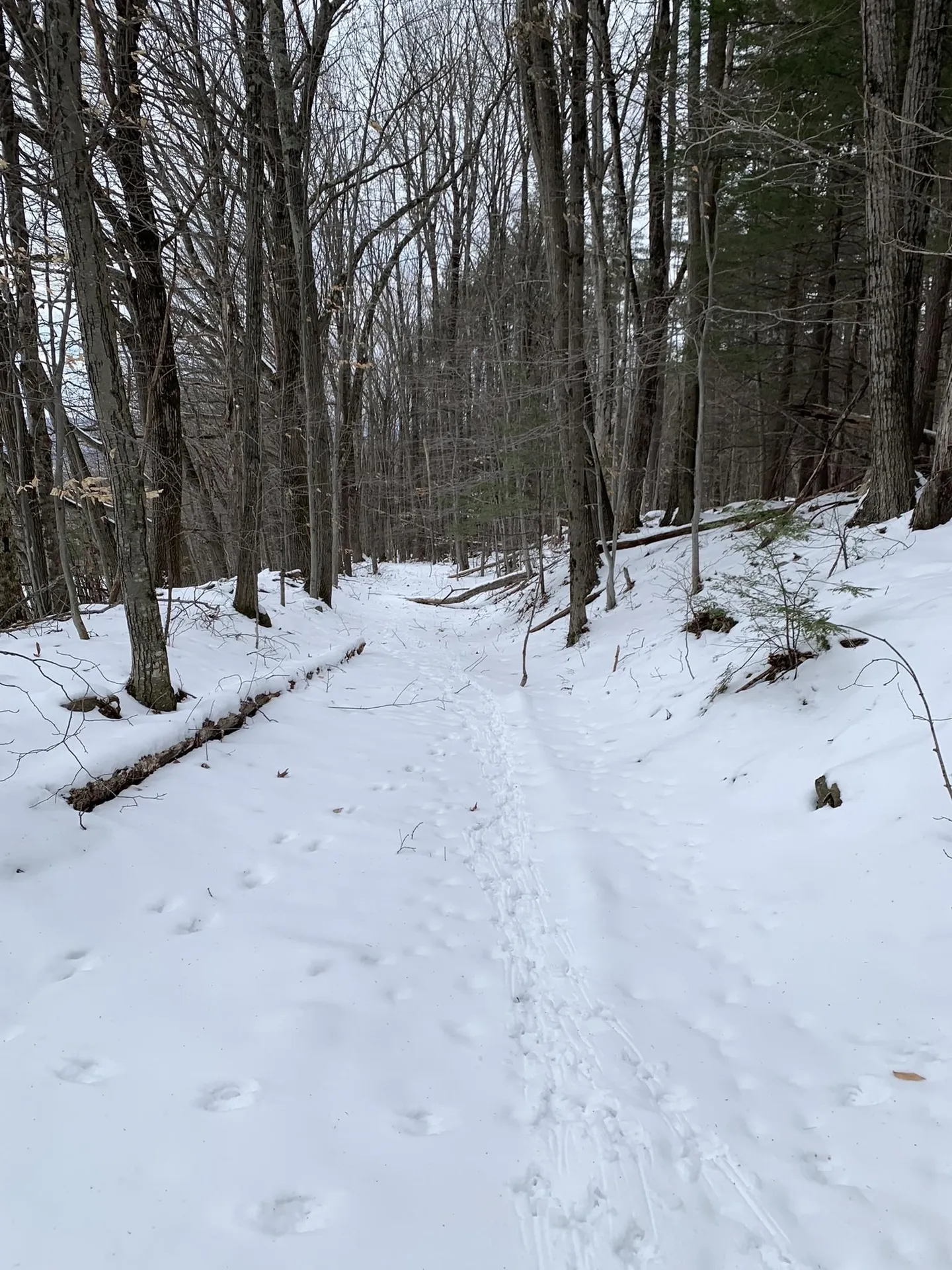200/5 Bible Hill Road Claremont NH 03743