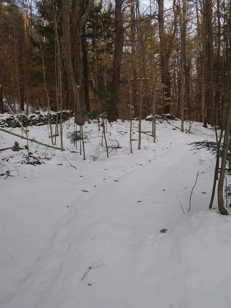 28 Town House Road Cornish NH 03745