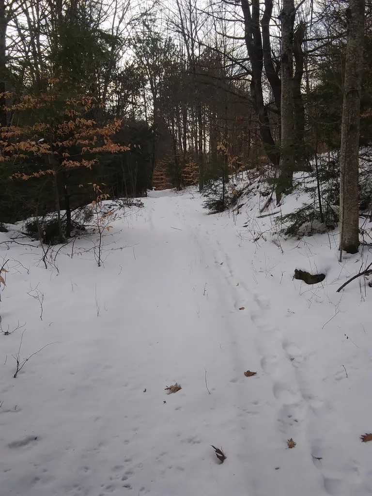 28 Town House Road Cornish NH 03745