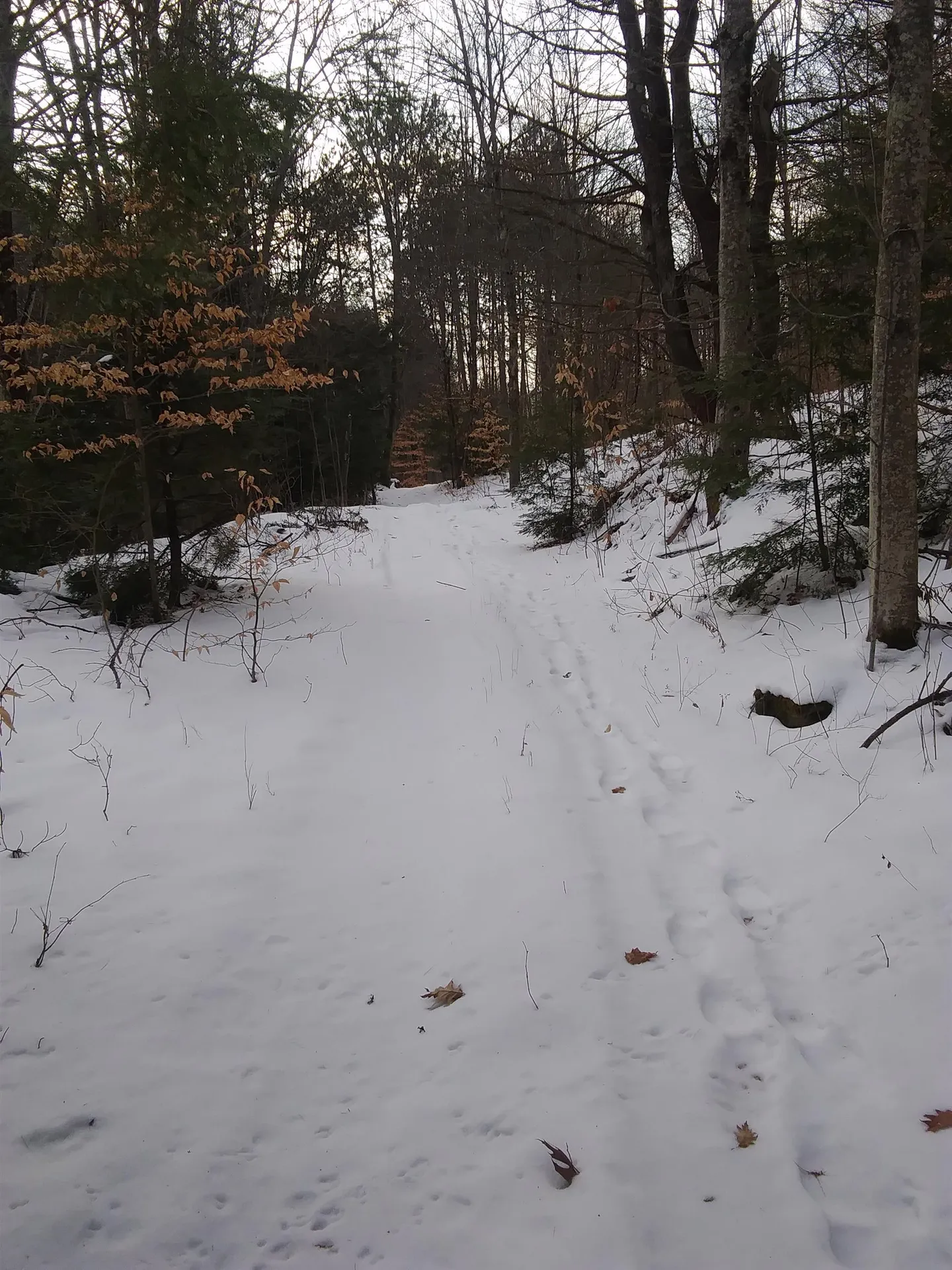 28 Town House Road Cornish NH 03745