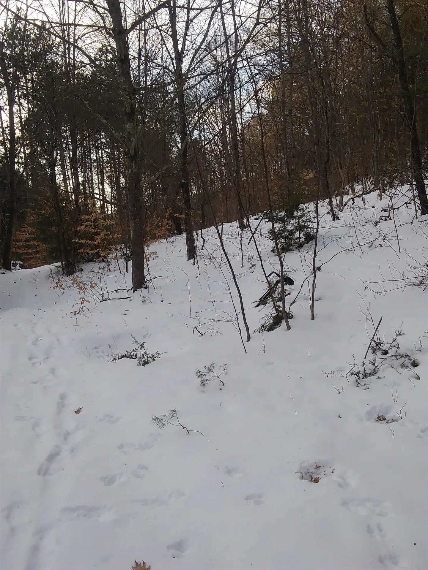 28 Town House Road Cornish NH 03745
