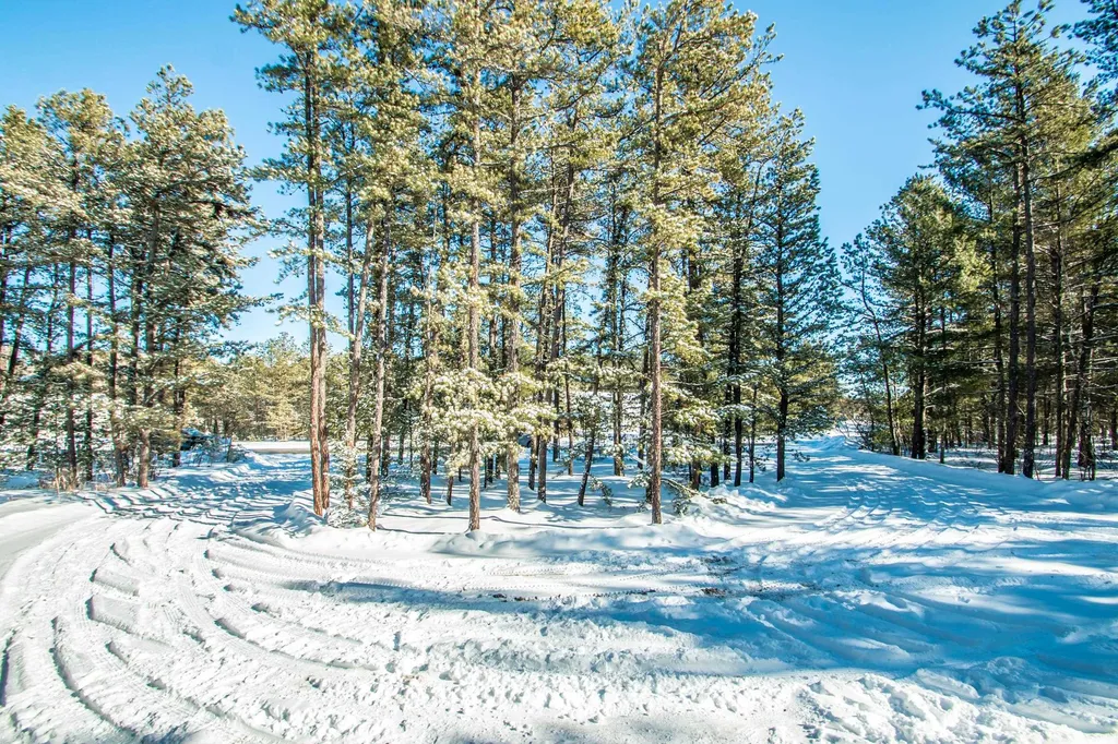 514 Silver Pine Lane Tamworth NH 03886