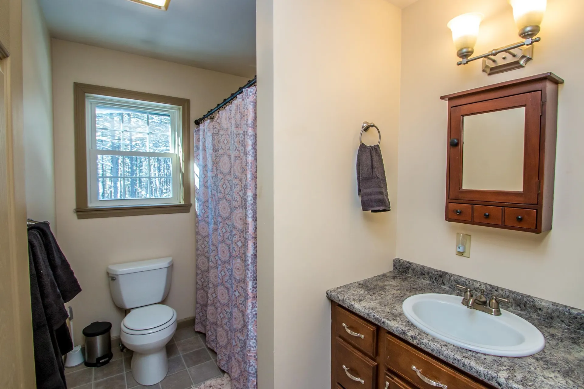 514 Silver Pine Lane Tamworth NH 03886