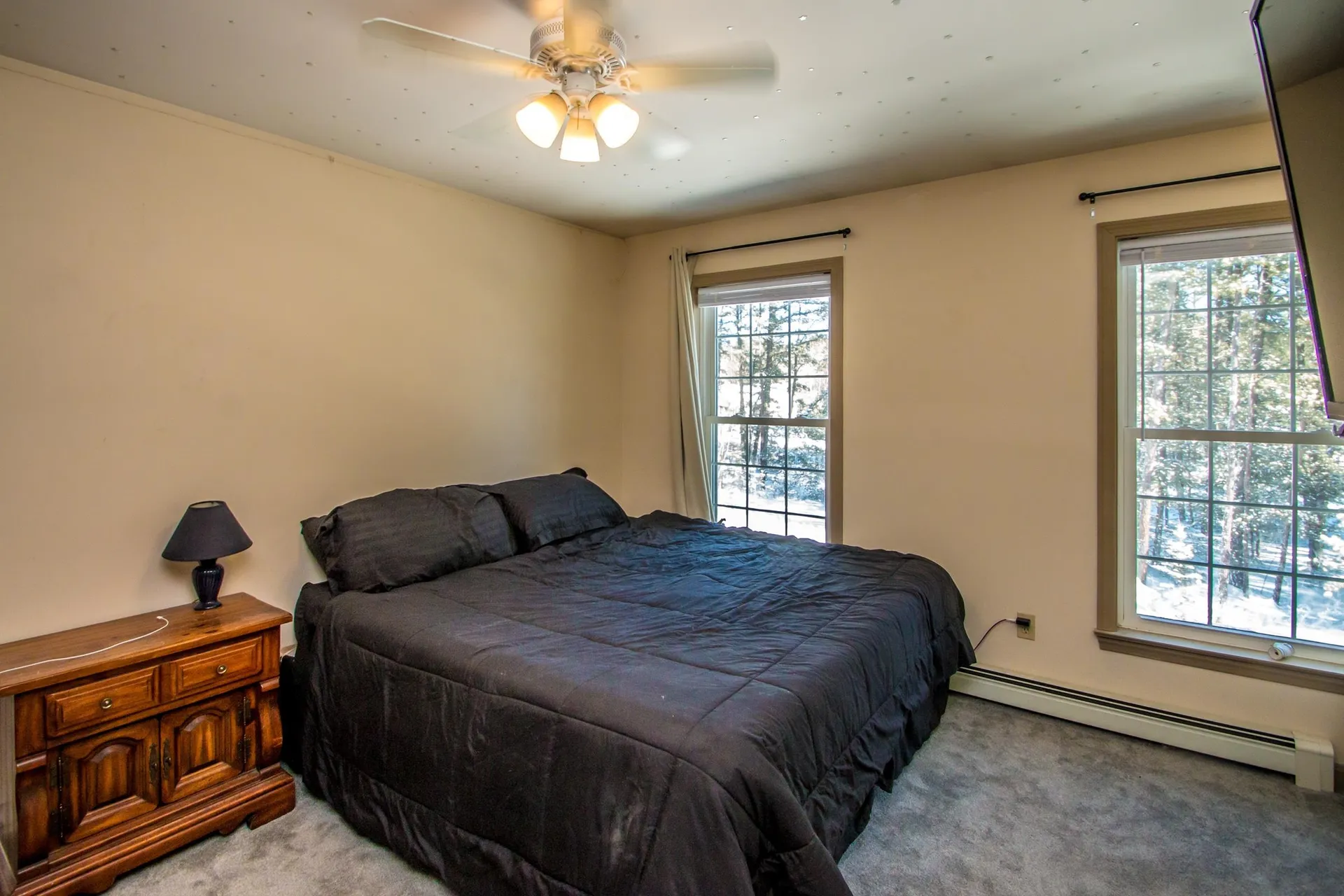 514 Silver Pine Lane Tamworth NH 03886