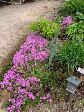 2 Potash Road Francestown NH 03043