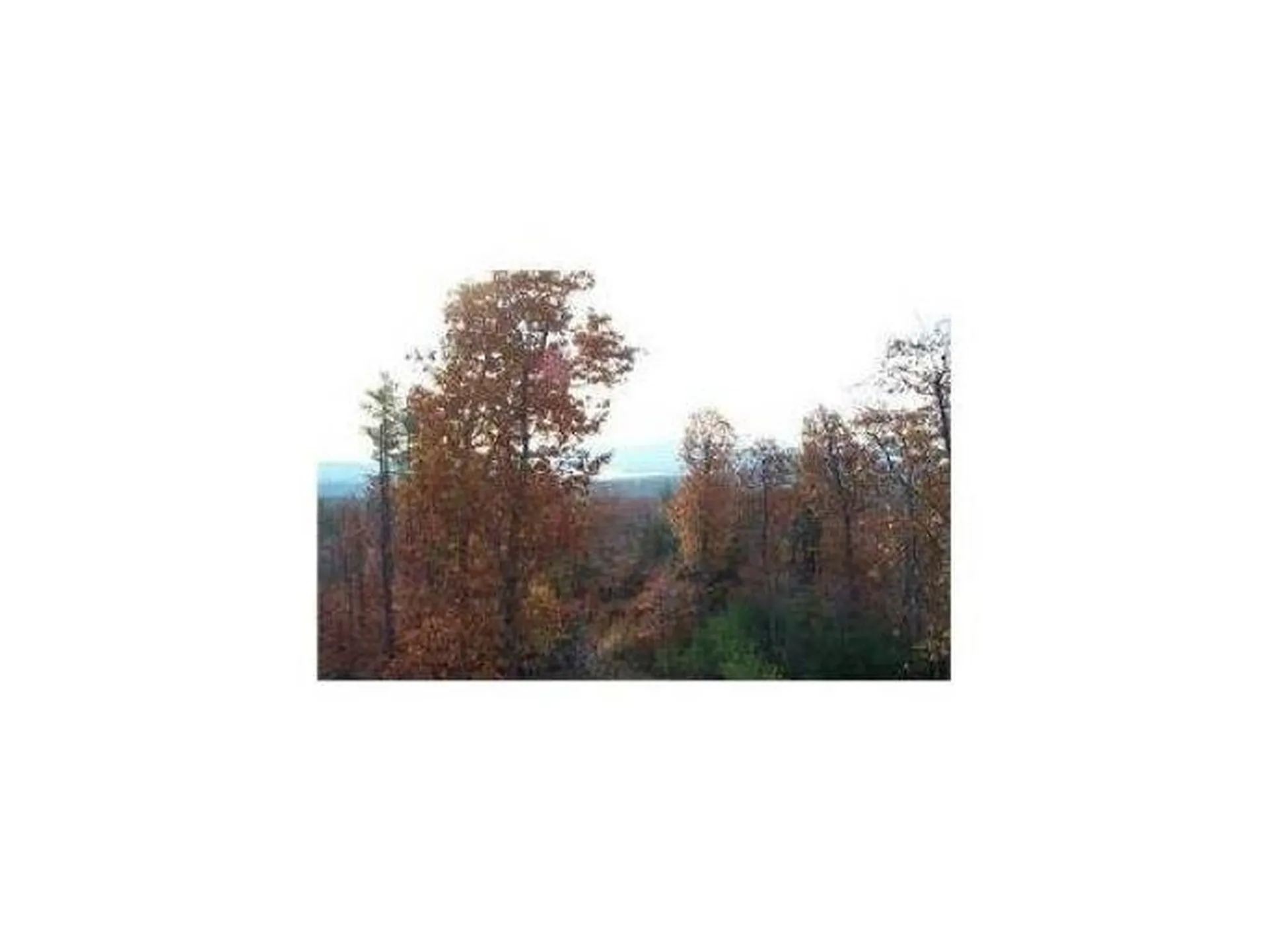 Lot 7 Beach Pond Road Wolfeboro NH 03894