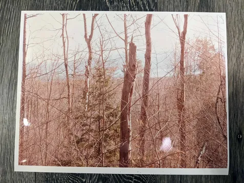 Lot 7 Beach Pond Road Wolfeboro NH 03894