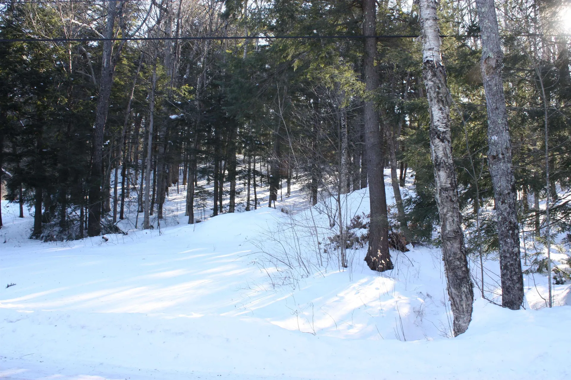 123 Grove Road Barnard VT 05031
