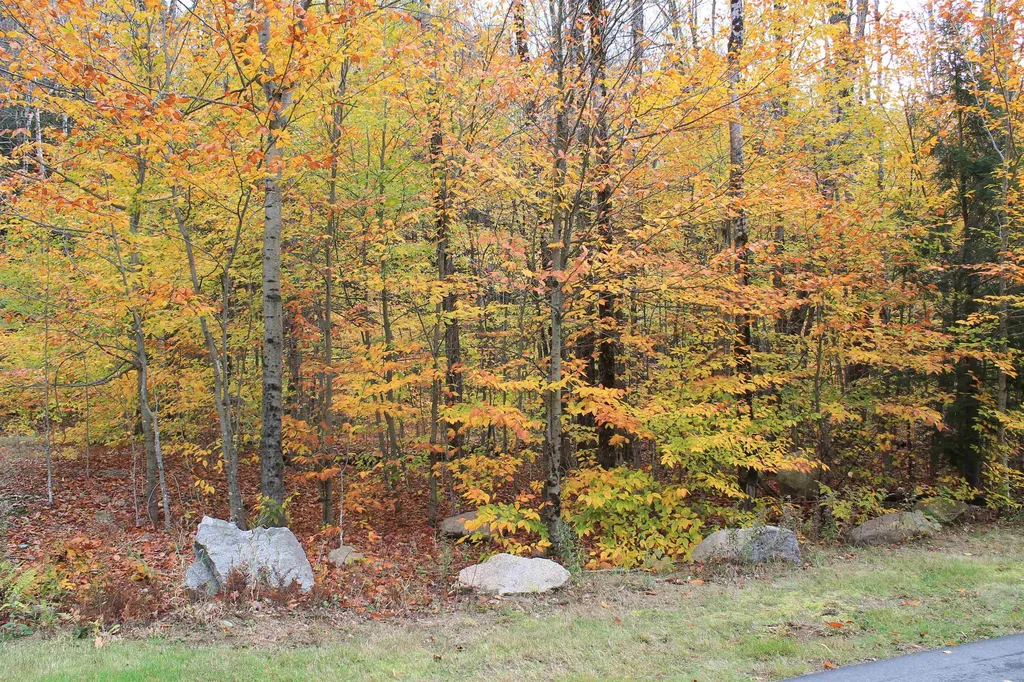 59 South Peak Road Lincoln NH 03251