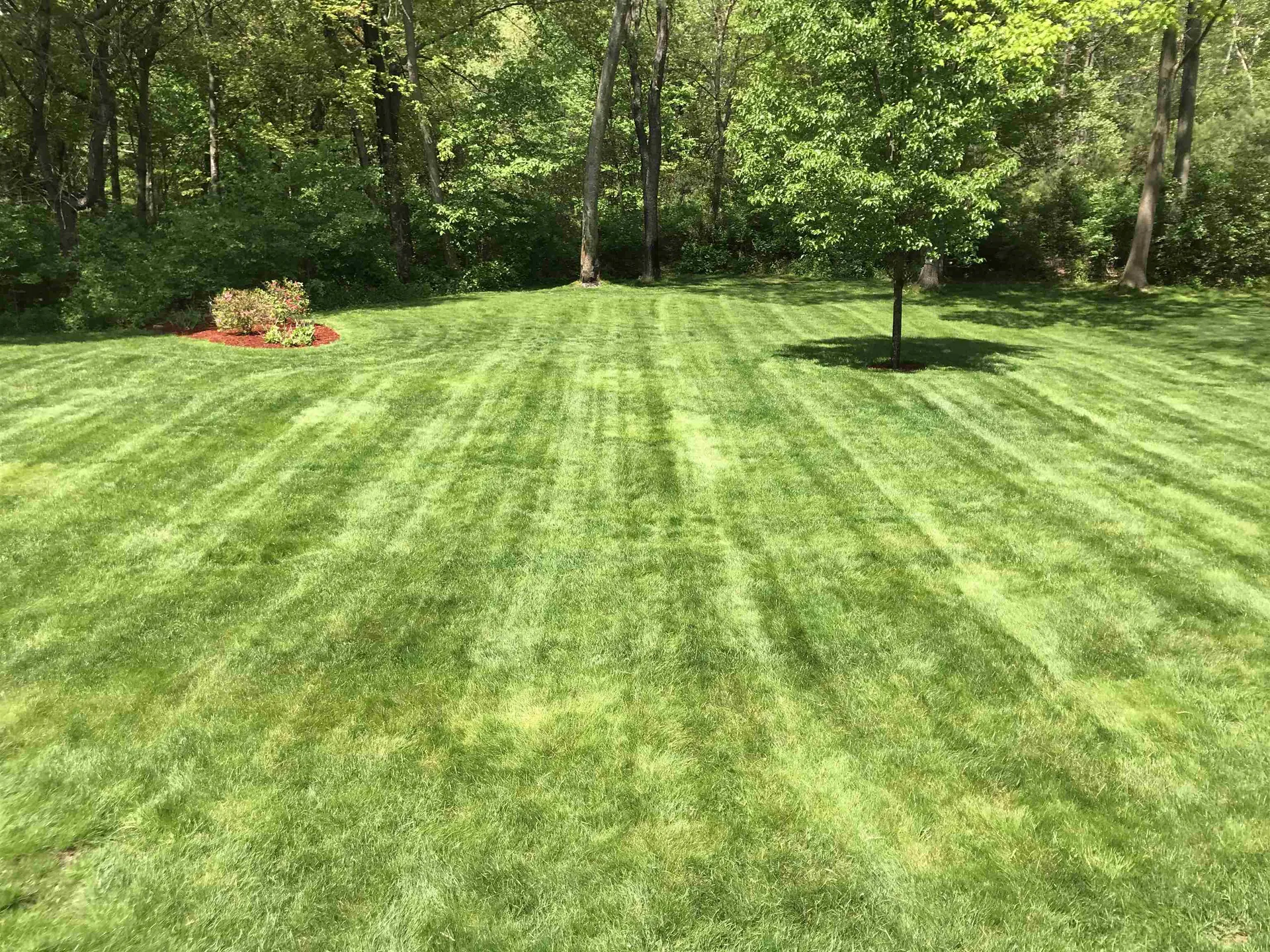 45 Brinton Drive Nashua NH 03064
