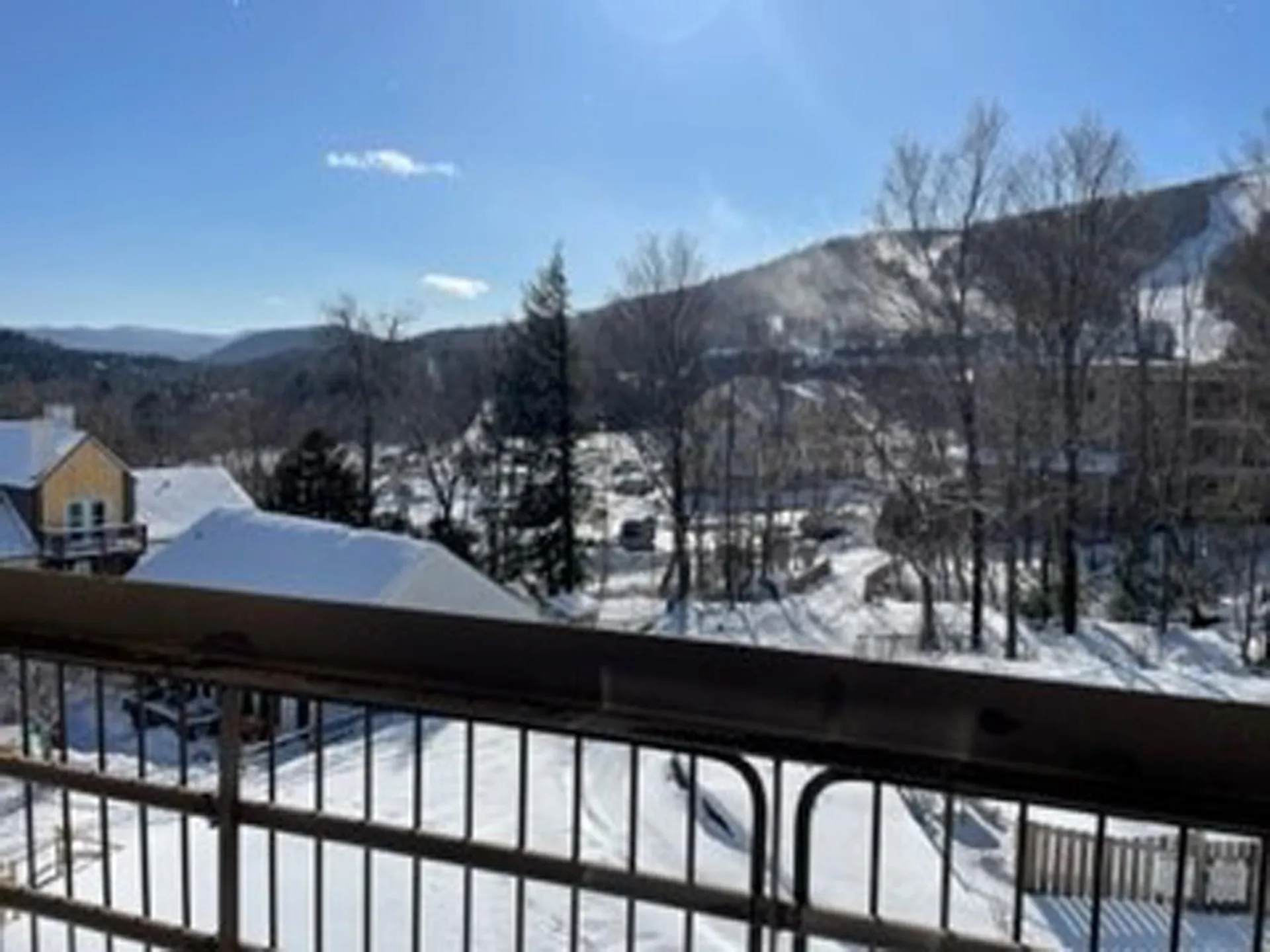 205 Mountainside Drive Warren VT 05674