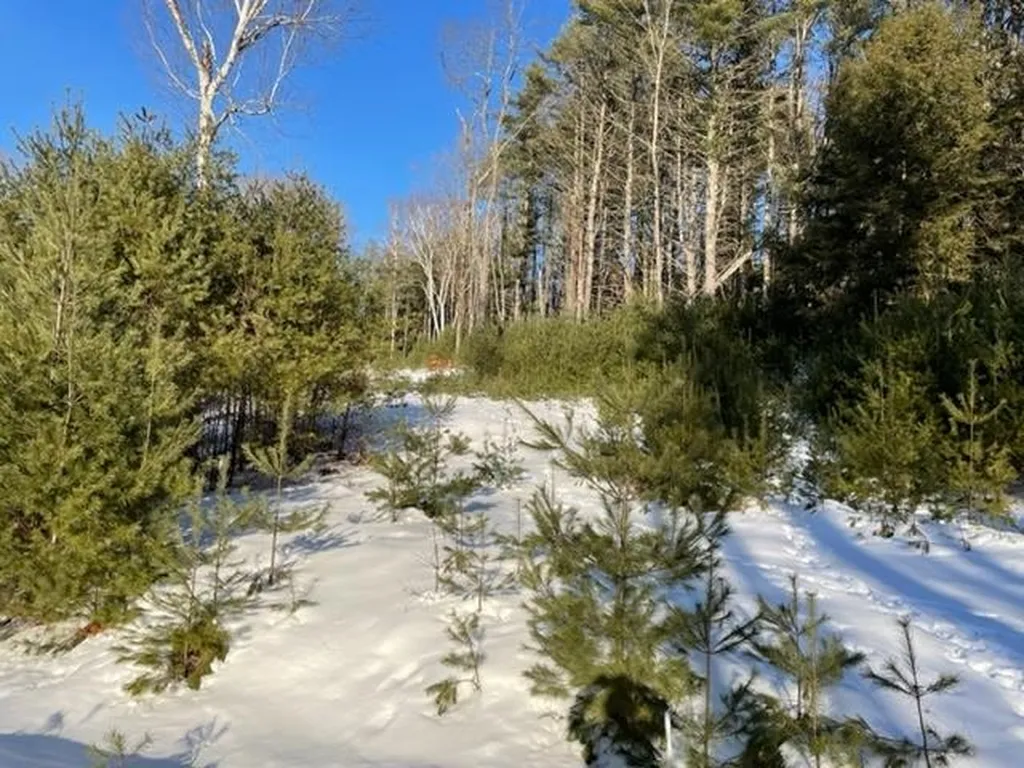 Barbara Lee Lane Norwich VT 05055