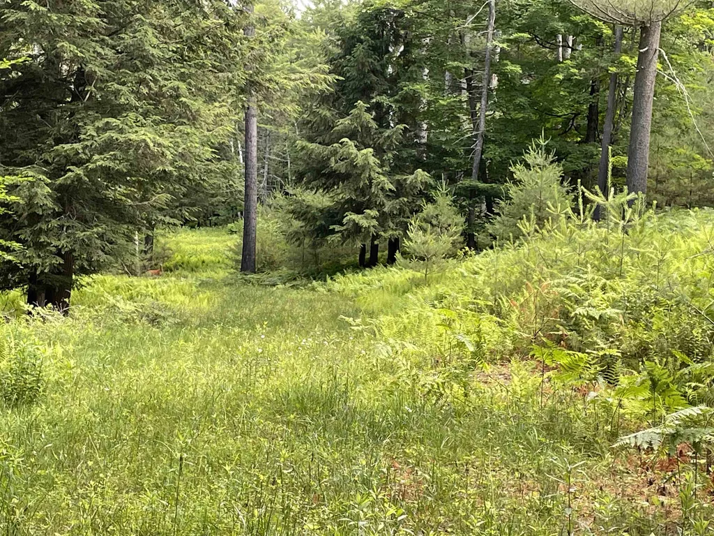 Barbara Lee Lane Norwich VT 05055
