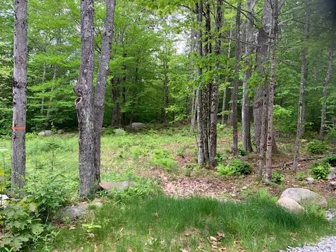 0 East Madison Road Madison NH 03849