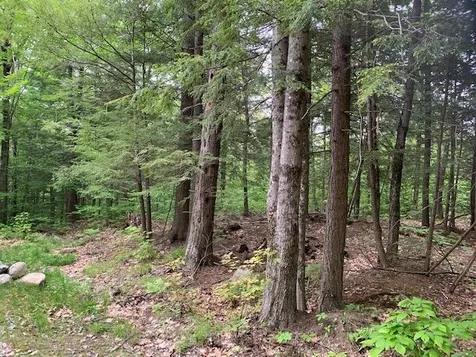 0 East Madison Road Madison NH 03849