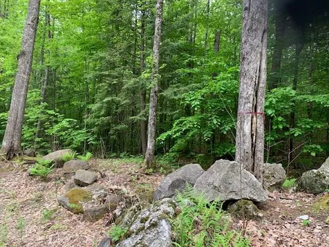 0 East Madison Road Madison NH 03849