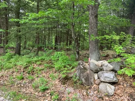 0 East Madison Road Madison NH 03849