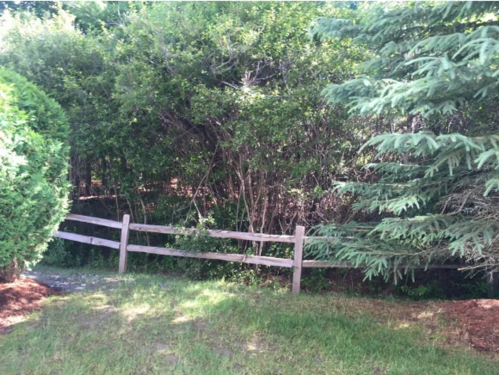 236 Songbird Road South Burlington VT 05403