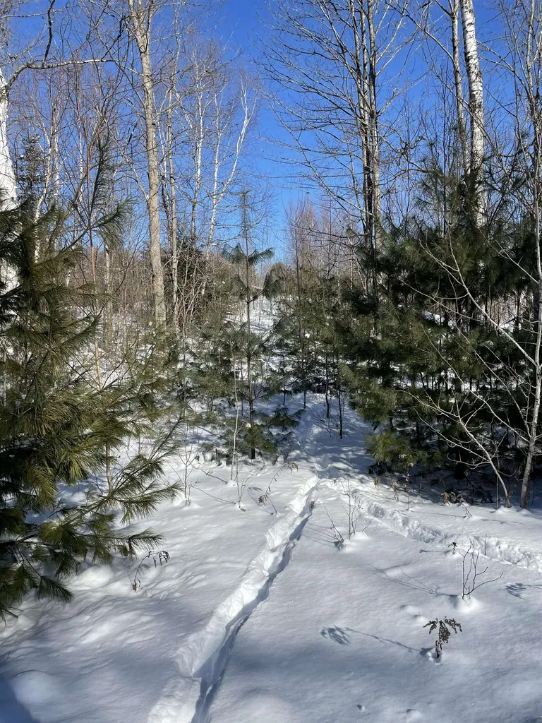 11 Hydro Road Bethlehem NH 03574