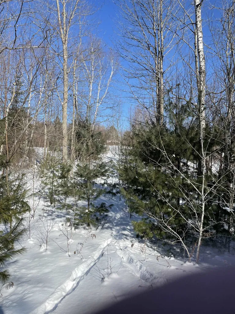11 Hydro Road Bethlehem NH 03574
