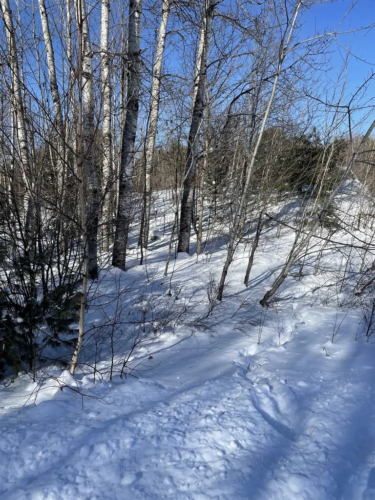 11 Hydro Road Bethlehem NH 03574