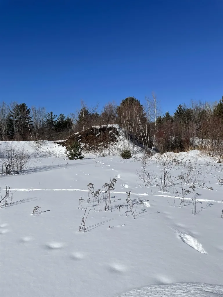 11 Hydro Road Bethlehem NH 03574