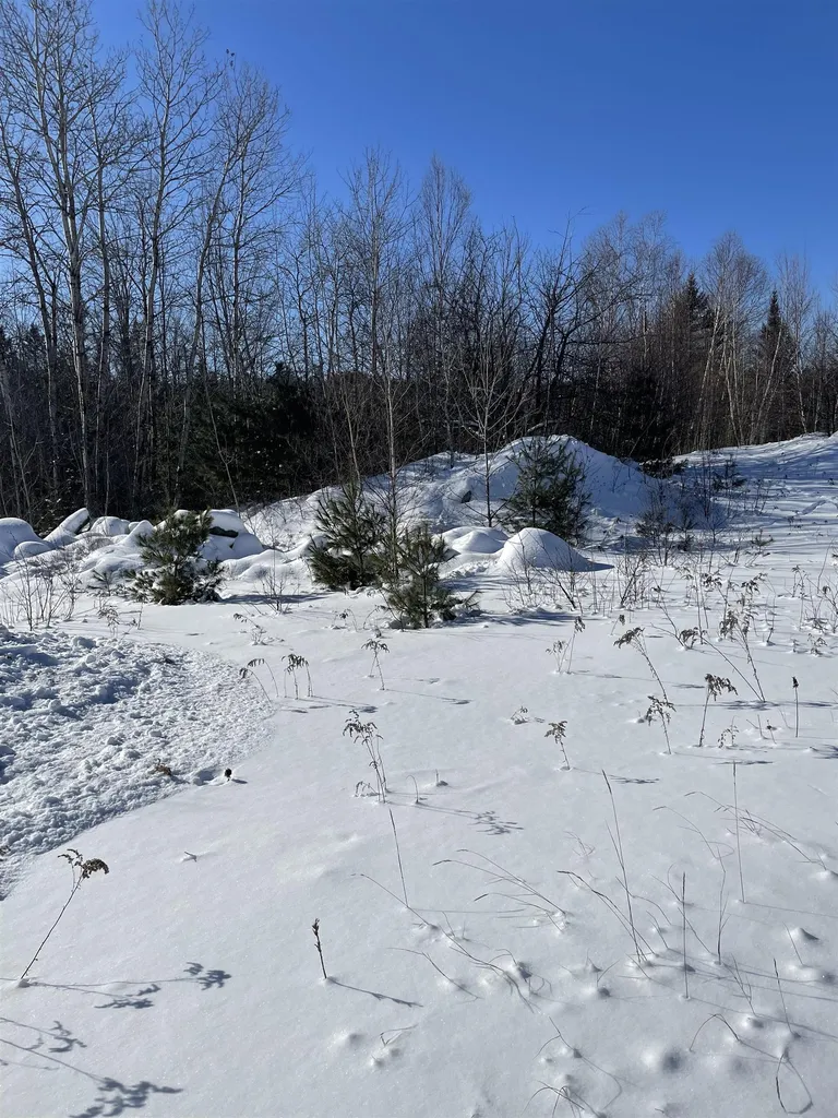 11 Hydro Road Bethlehem NH 03574