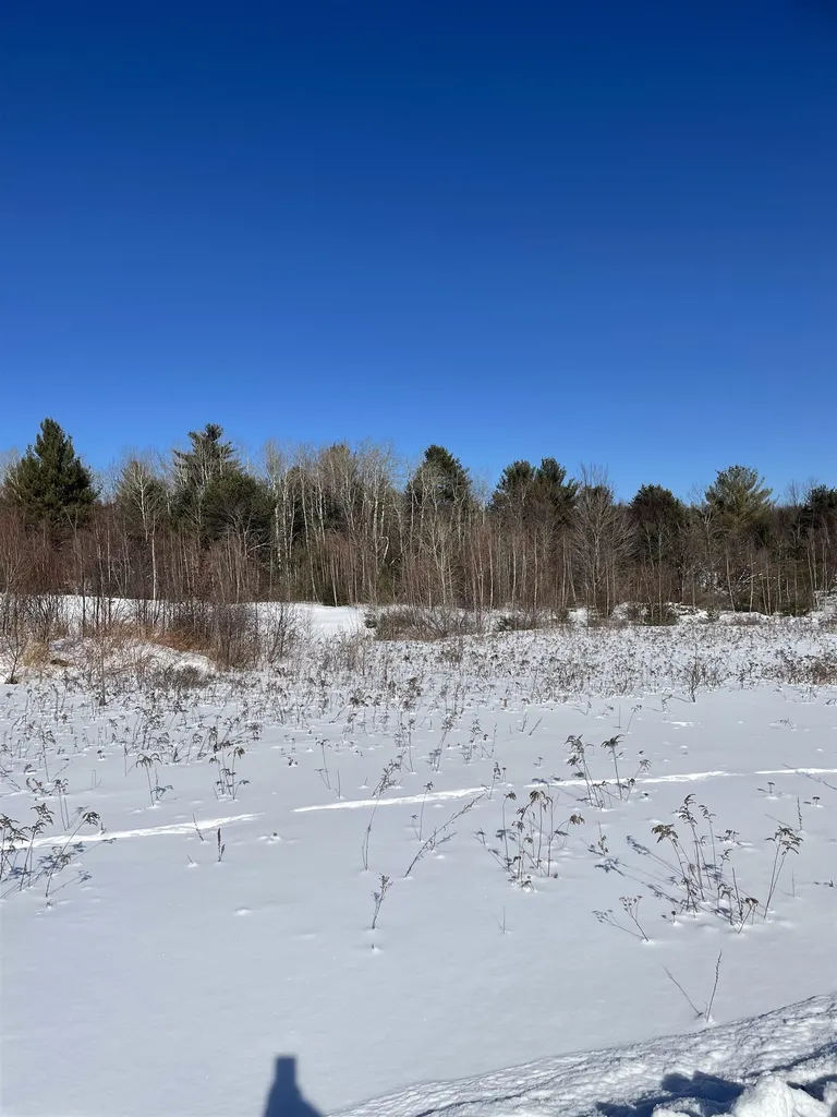 11 Hydro Road Bethlehem NH 03574