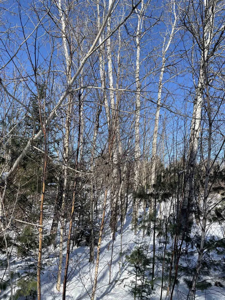 11 Hydro Road Bethlehem NH 03574