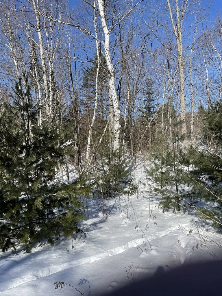 11 Hydro Road Bethlehem NH 03574