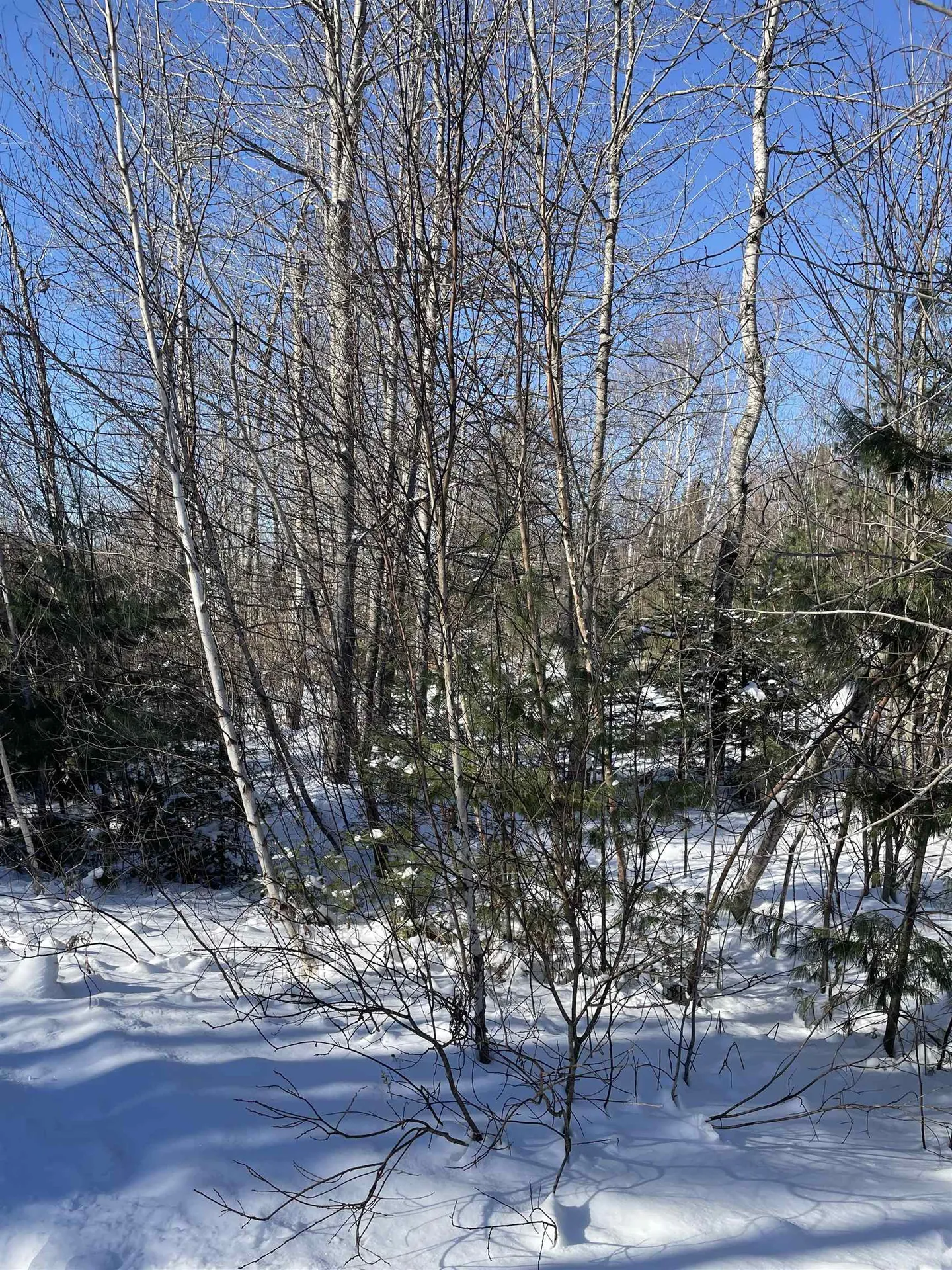 11 Hydro Road Bethlehem NH 03574