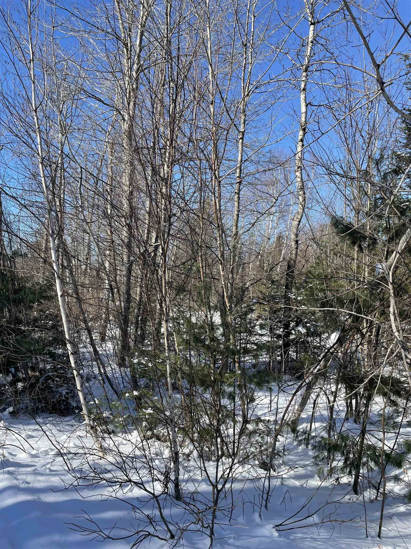11 Hydro Road Bethlehem NH 03574