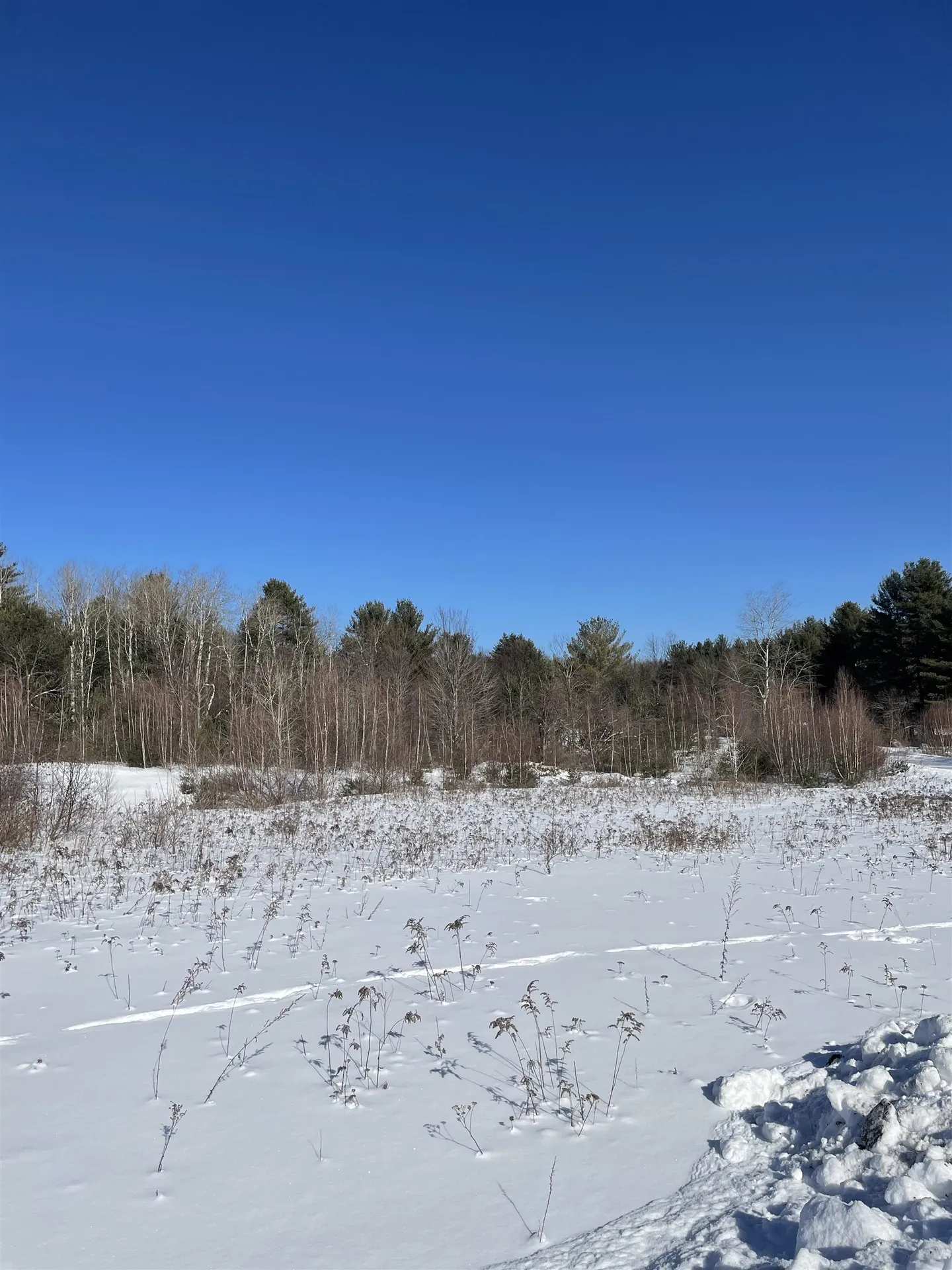 11 Hydro Road Bethlehem NH 03574