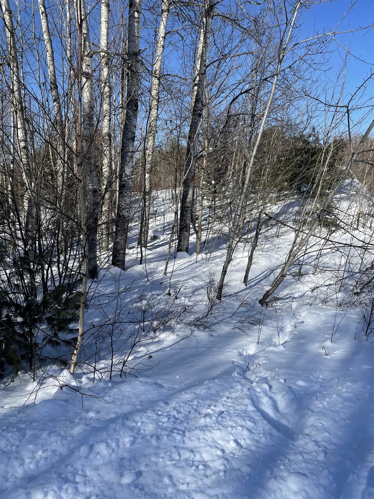 11 Hydro Road Bethlehem NH 03574