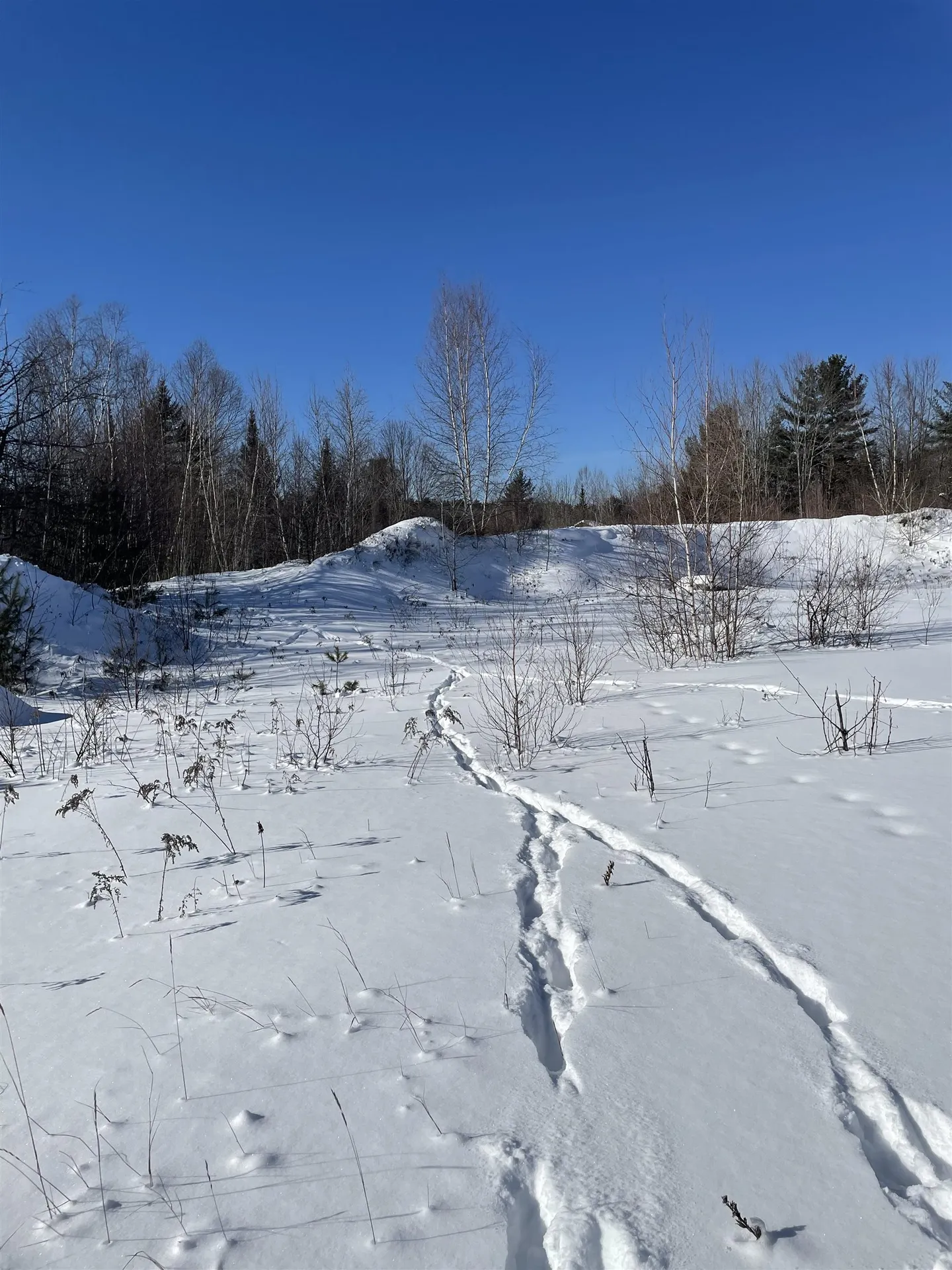 11 Hydro Road Bethlehem NH 03574