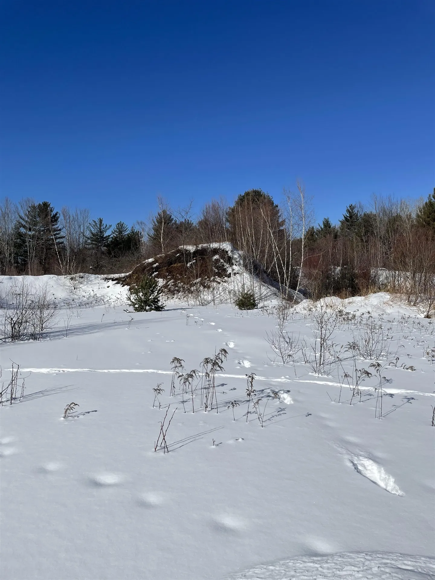 11 Hydro Road Bethlehem NH 03574