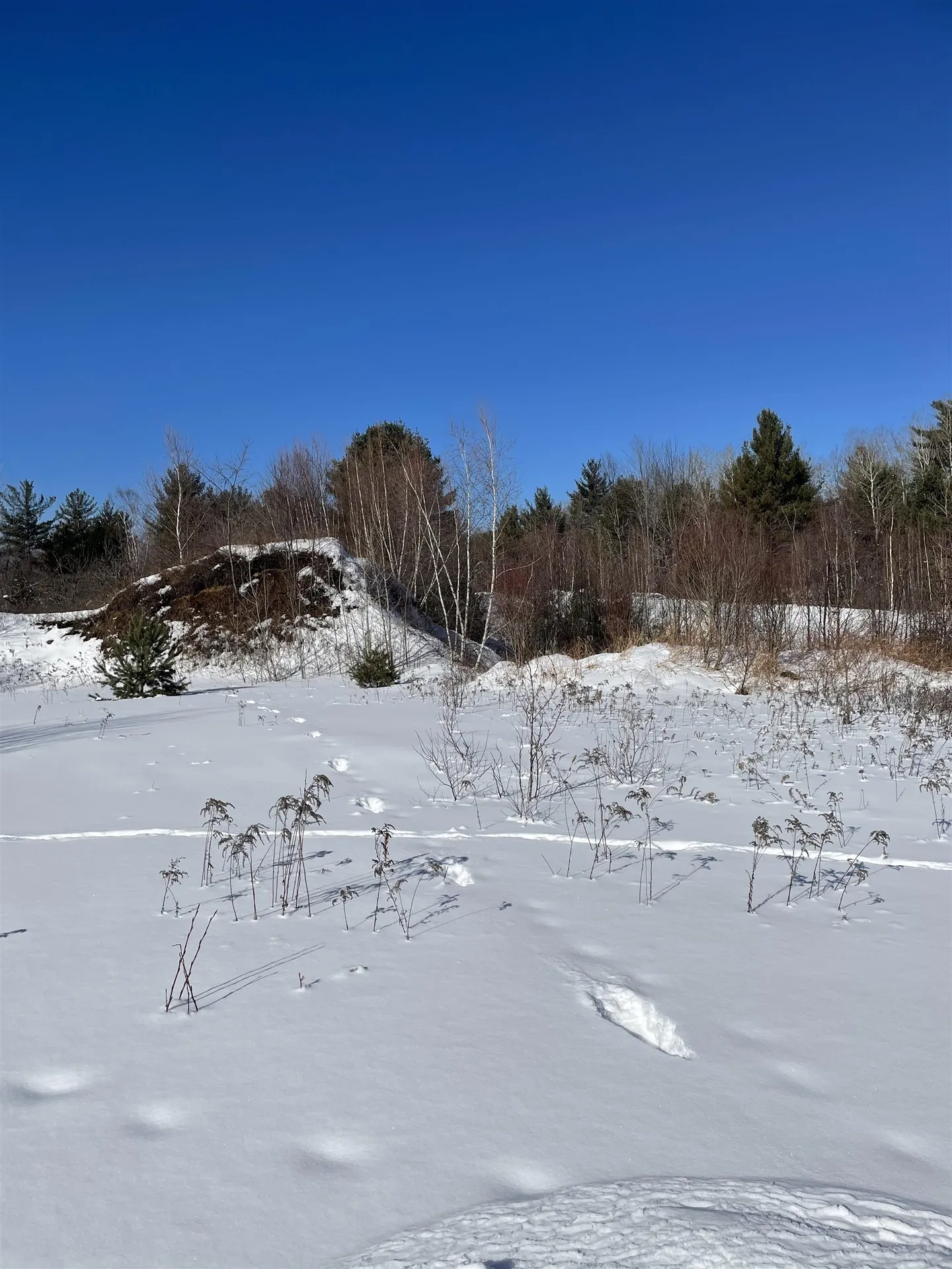 11 Hydro Road Bethlehem NH 03574