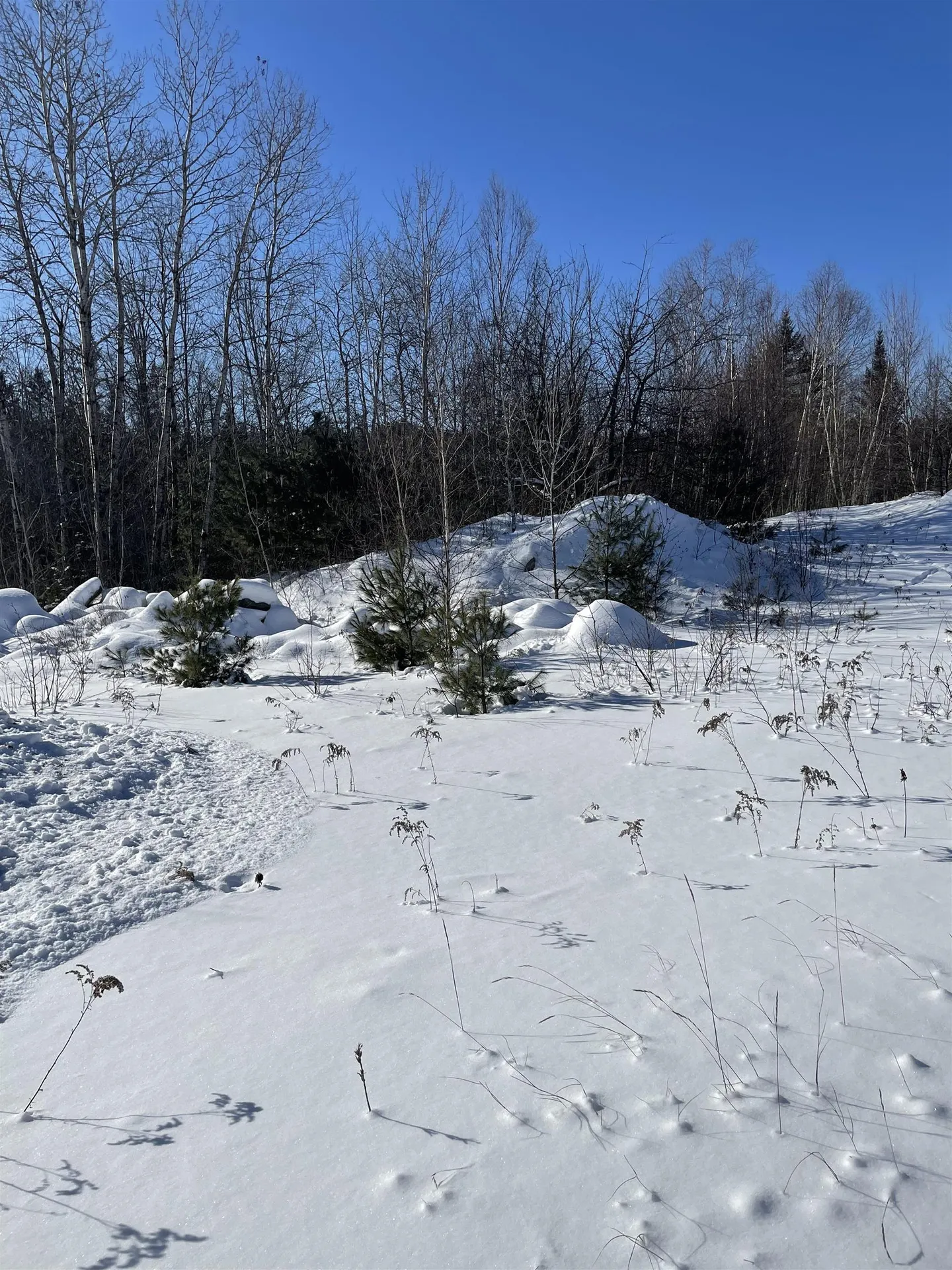 11 Hydro Road Bethlehem NH 03574