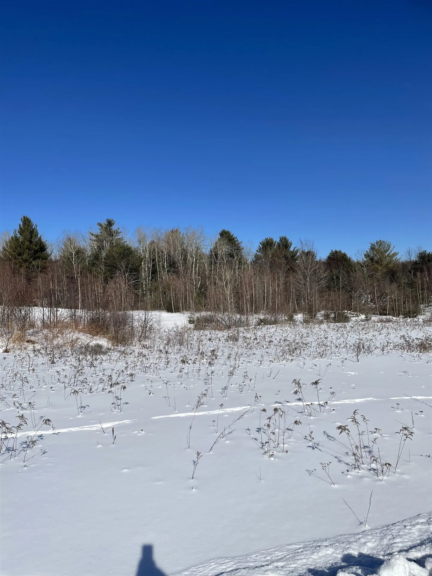 11 Hydro Road Bethlehem NH 03574