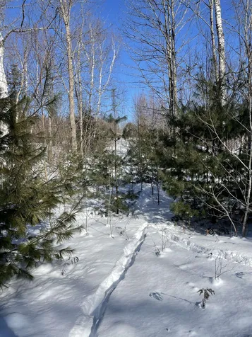 11 Hydro Road Bethlehem NH 03574