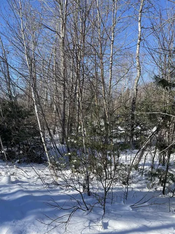 11 Hydro Road Bethlehem NH 03574