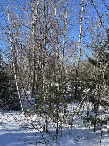 11 Hydro Road Bethlehem NH 03574