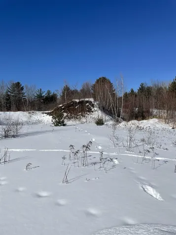 11 Hydro Road Bethlehem NH 03574