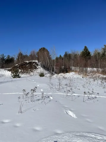 11 Hydro Road Bethlehem NH 03574