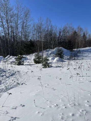 11 Hydro Road Bethlehem NH 03574