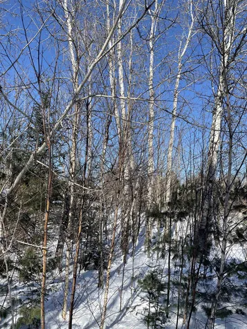 11 Hydro Road Bethlehem NH 03574